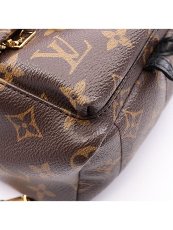 Louis Vuitton Backpack Palm Springs Mini Monogram Canvas Leather